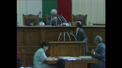ВЕЛИКО НАРОДНО СЪБРАНИЕ