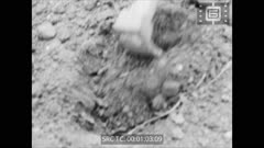 КИНО ПРЕГЛЕД   март - N 11 - 1966