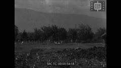 ПРЕГЛЕД 143  1944 г.