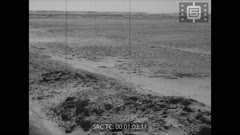 Кинопреглед N 349 1951 г.
