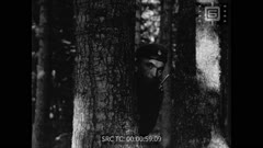 ПРЕГЛЕД 112  1943 г.