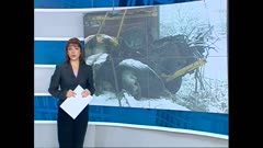 ПО СВЕТА И У НАС