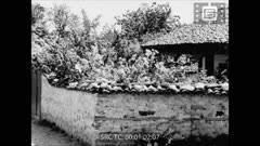 ОТЕЧЕСТВЕН КИНО ПРЕГЛЕД N 7 1944 г.