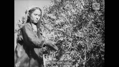 СЕДМИЧЕН КИНО ПРЕГЛЕД 169  1947 г.