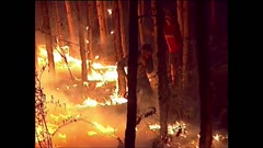 ПО СВЕТА И У НАС