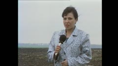 БРАЗДИ