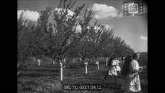Кинопреглед N 201 1948 г.