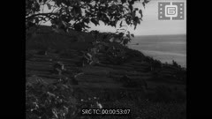 Кинопреглед N 372 1951 г.