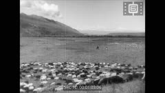 Кинопреглед N 261 1949 г.
