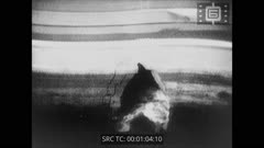 Кинопреглед N 2 януари 1964