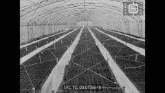 Кинопреглед N 12 1975 г.