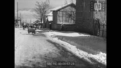 ПРЕГЛЕД 127 1944 г.