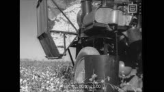 Кинопреглед N 238 1949 г.
