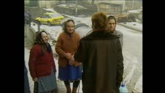 БРАЗДИ