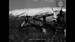 Кинопреглед N 33 1945 г.