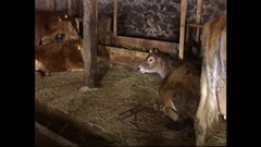 АРХИВ НОВИНИ