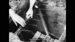 Кинопреглед N 33 1965 г.