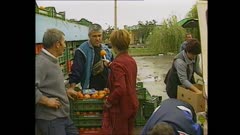 БРАЗДИ