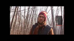 БИБЛИОТЕКАТА