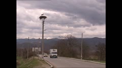ОЧИ В ОЧИ С ЖИВОТНИТЕ - ДУБЛИ