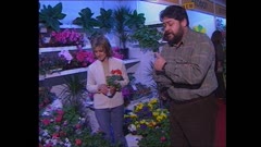 ЦВЕТЕН МАГАЗИН