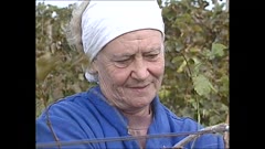 АРХИВ НОВИНИ