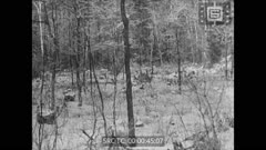 СЕДМИЧЕН КИНОПРЕГЛЕД 128  1947 г.
