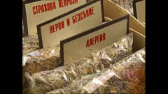 ОЧИ В ОЧИ С ЖИВОТНИТЕ - ДУБЛИ