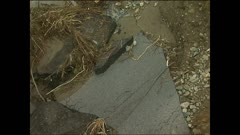 ПО СВЕТА И У НАС