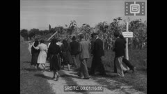 Кинопреглед N 240 1949 г.