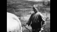 ПРЕГЛЕД 133 1944 г.