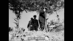 ПРЕГЛЕД 118 1943 г.