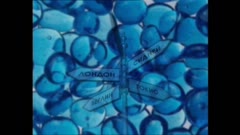 АЗ СЪМ БЪЛГАРЧЕ
