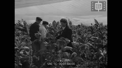 СЕДМИЧЕН КИНОПРЕГЛЕД 427  1953 г.